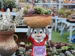 -三圣花乡旅游区