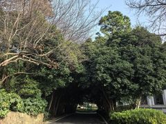 -南京东郊国宾馆