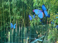 -竹泉村旅游度假区