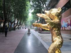 -西安电影制片厂