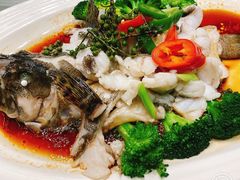 藤椒蒸老虎斑-新海利(北岭店)