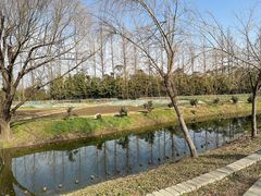 -前小桔亲子创意农场·草莓采摘·露营烧烤