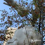 杭州新地标|网红打卡地天目里