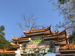 -广州市流溪河国家森林公园
