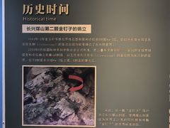 -金钉子远古世界景区