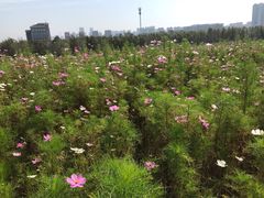 -长春世界雕塑园冰雪艺术天地