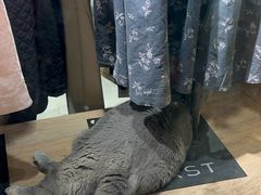 -金轮星光名座生活广场