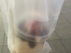 -汉堡王(保定万博广场店)