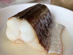 -海中洲渔社