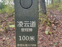 -梧桐山风景名胜区