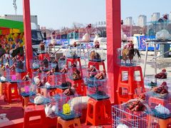 -青岛金沙滩