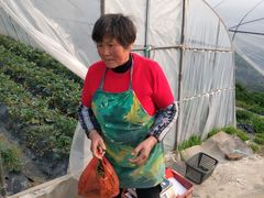 -小鱼草莓采摘园农家乐·小鱼餐厅