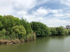 -新江湾城公园