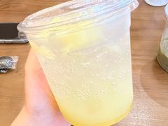 菠萝气泡饮-樹夏shhha(越秀店)