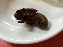 -沂蒙全羊汤(大觉胡同)