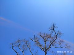 景点-上海海湾国家森林公园