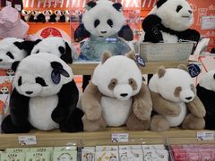 -熊猫邮局(少城店)