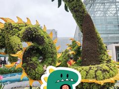 -南山植物园