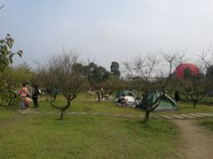 -秀丽东方