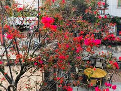 -大厝宅海鲜馆