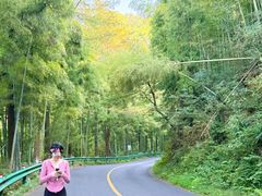-莫干山风景区