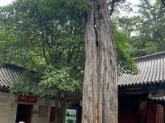 -青岛崂山太清宫