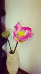 android_upload_pic-文E范儿ZUMBA尊巴舞蹈
