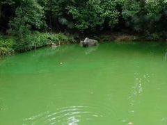 -白云源风景区