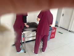 -美联众合动物医院·24h京西诊疗中心