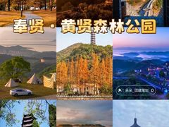 -四明山国家森林公园