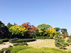 -名古屋城