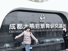 景点-成都大熊猫繁育研究基地