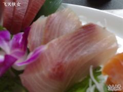 刺身4-将太无二·北美传奇寿司(瑞士公寓店)