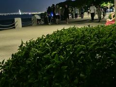 -深圳湾公园(南山区)