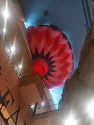 -卡通尼·Safari非洲探索乐园·生日会(金桥国际商业广场店)