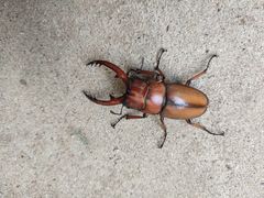 -野三坡清泉山风景区