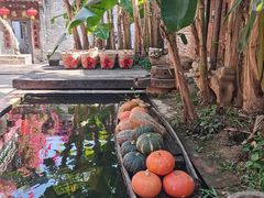 -德云居