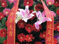 -怡花宜木鲜花店(朝阳路店)