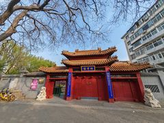 -桃花堤公园