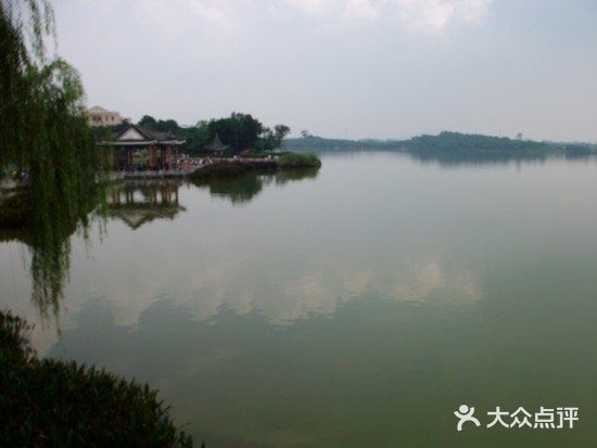 松山湖南湖湾露营营地图片