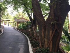 -晓港公园