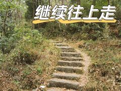 -青龙山国家森林公园