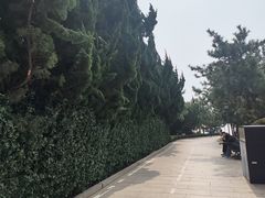 -燕儿岛山公园