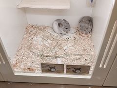 -龙猫仔乐园(惠福东路店)