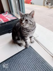 -幸运7纹身刺青Lucky7tattoo