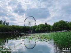 -青城公园