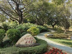 -东莞植物园