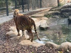 -北京野生动物园