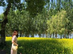 -长白岛森林公园