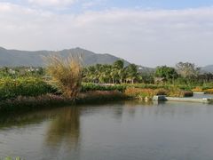 -亚龙湾国际玫瑰谷